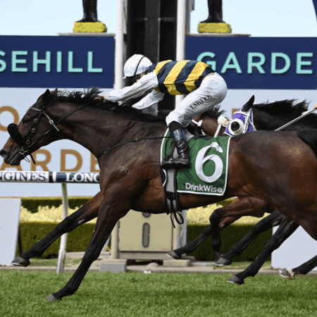 Archer Stakes offers final chance for Melbourne Cup hopefuls