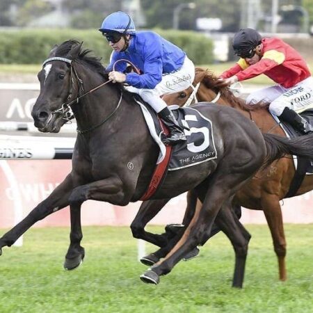 Can Avilius win the 2018 Melbourne Cup?