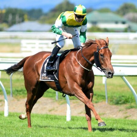 Beauden gearing up for Melbourne Campaign