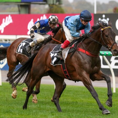 Basilinna outstays rivals to book Melbourne Cup start