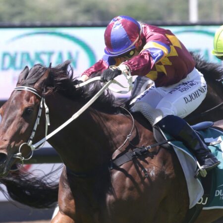 Travel restraints prevented Zed’s Cup double up