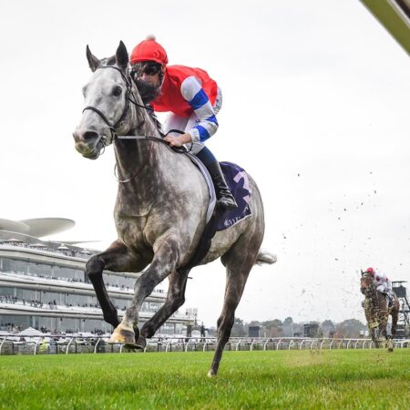 Ciaron Maher strong-handed as trio chase Melbourne Cup start