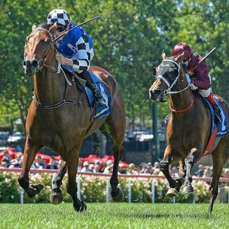 Sandown Classic a possibility for Big Duke after brave Cup run