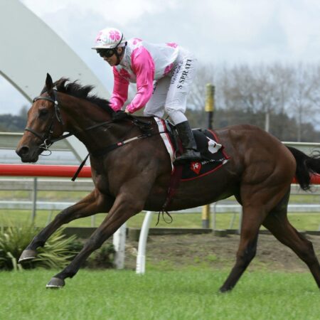 Lindsays buy into Melbourne Cup hopeful