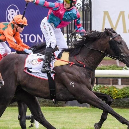 Preusker Looks To Outfox Rivals In Guineas