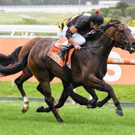 Defibrillate a boost for locked down Kiwi owners