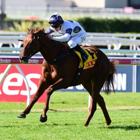 Campaldino triumphs in Group 2 Brisbane Cup