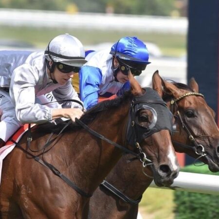 Bedford chasing another Caulfield win