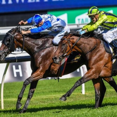 Sir Charles Road out to stake Cup claims