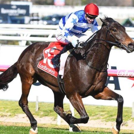 Hayes has Cup hopes for import Super Titus