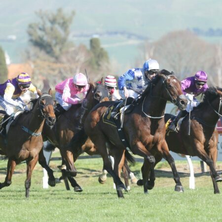 St Leger to dictate Sir Charles Road’s spring