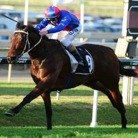 Chocante looking to keep Marsh’s Cup hopes alive