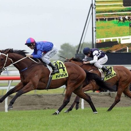 Can Chocante keep G1 glory all in the family?