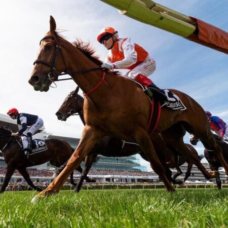 Vow And Declare’s journey into Cup history
