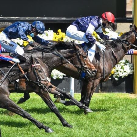 Reigning champ Twilight Payment tops Melbourne Cup weights