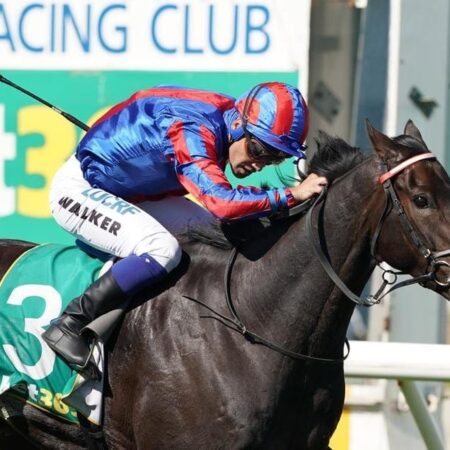 Prince Of Arran gets 1kg penalty for Cup