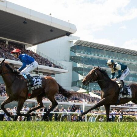 Forty two horses left in Melbourne Cup