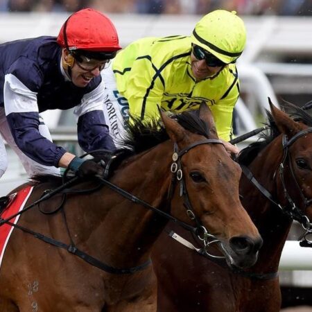 Evans looking for Cup magic with Moreira