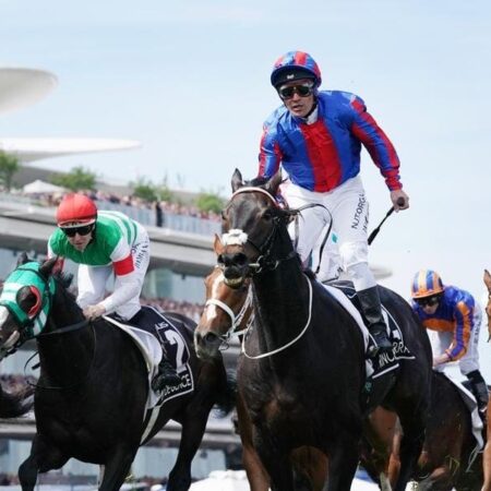 Prince Of Arran set to return for 2020 Cup
