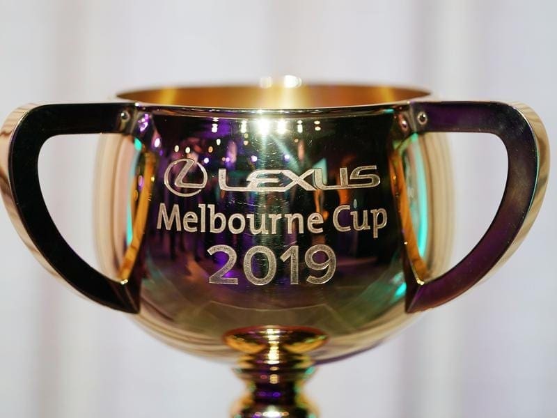 cup