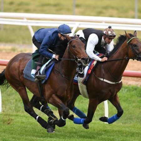 Bowman, Brown in high praise for Cup rides