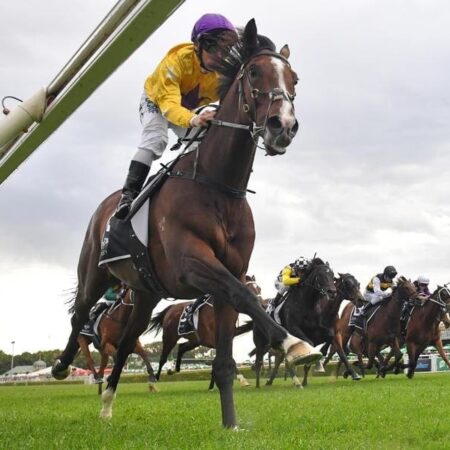 Hush Writer in Cup bid via Hotham Handicap