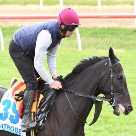 Irish horse Latrobe out of Melbourne Cup
