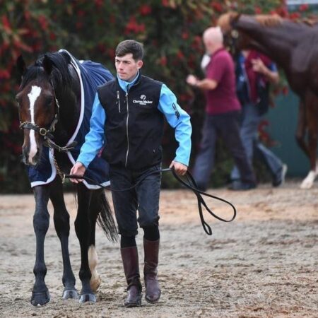 Maher trusting Ballydoyle in Cup chase