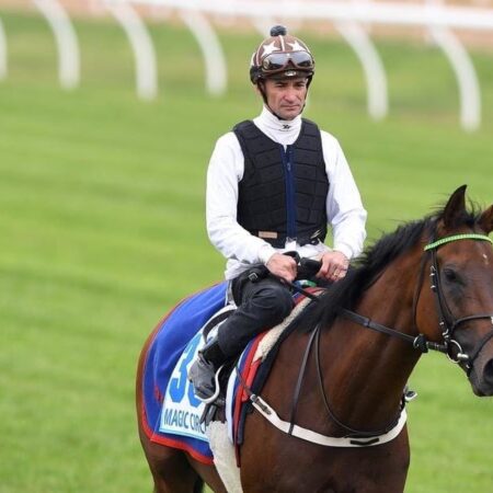 McEvoy, Brown jockeying for third Cup win