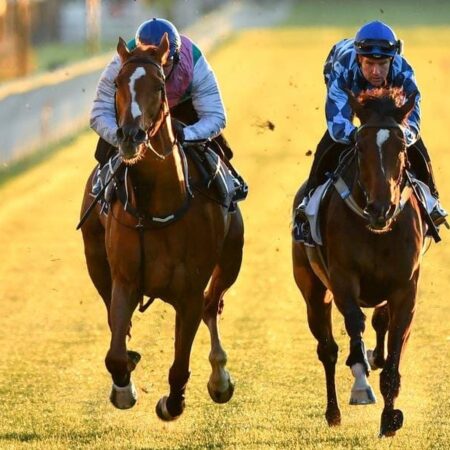McEvoy aims for fourth Melbourne Cup win