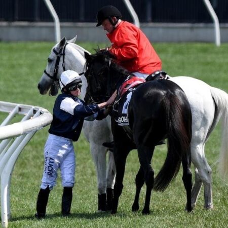 Cup horse injury could not be foreseen: RV