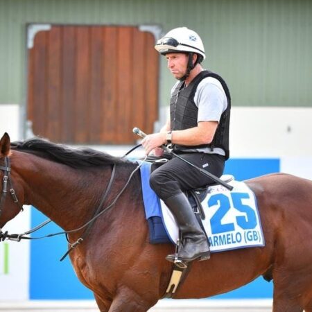 Marmelo on target for Melbourne Cup start