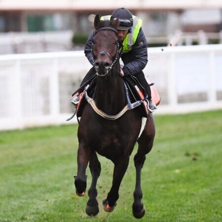 Damien Oliver chasing fourth Melbourne Cup