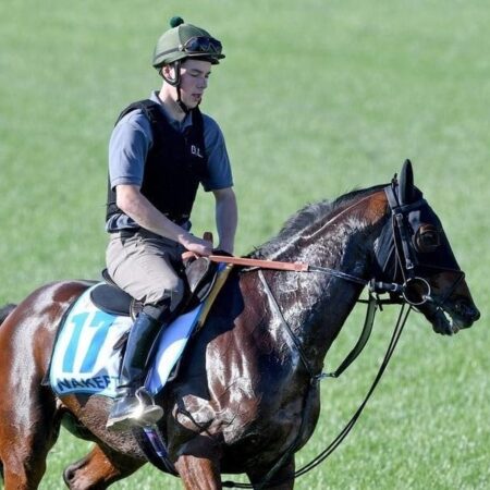 Scottish star on target for Melbourne Cup