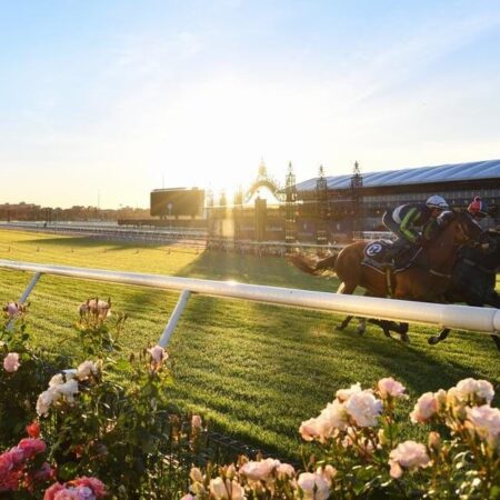 Neufbosc Cup start depends on Hotham run