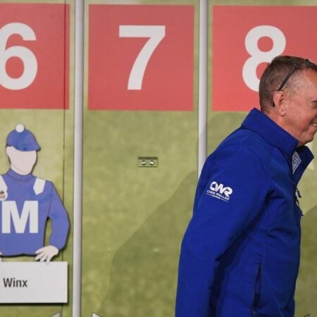 Owners chasing the Melbourne Cup dream