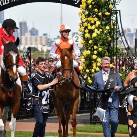 First-time racehorse owners win the Cup