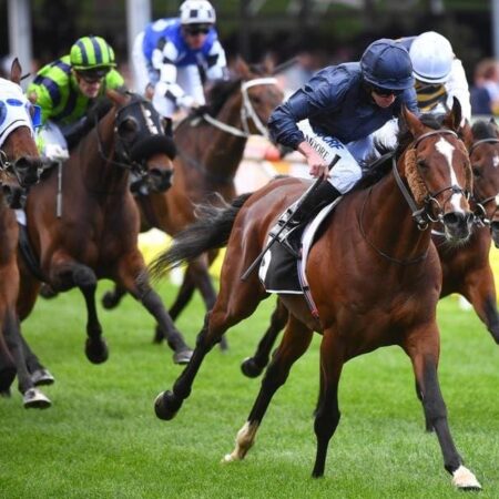 No penalties for Melbourne Cup hopefuls