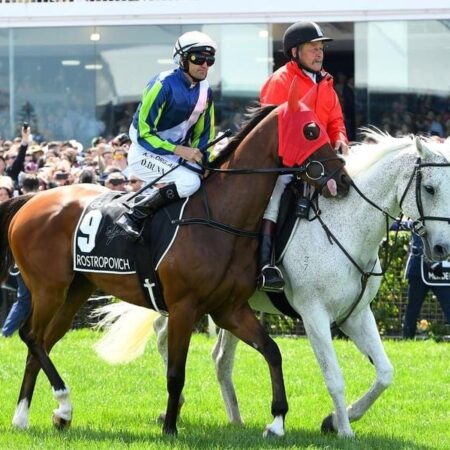 Melbourne Cup runner taken to vet clinic