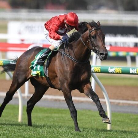 Penalty lifts Runaway up Cup entry order