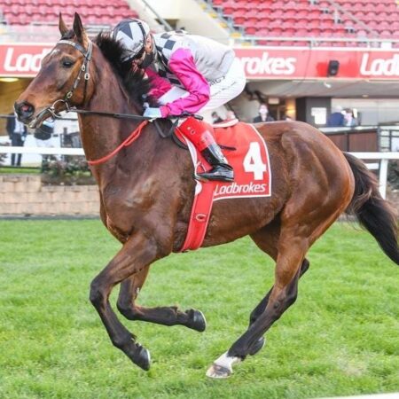 Surprise Baby Ready For Second Tilt At Cup