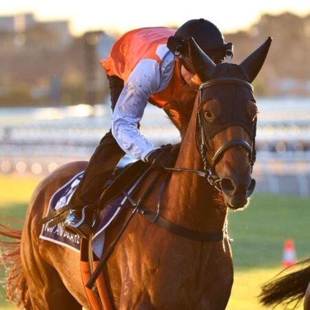 Vow And Declare on target for Cup tilt
