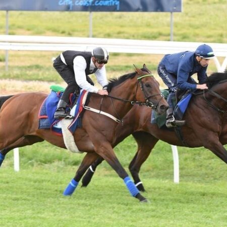 Bowman, Brown test Cup hopes at Werribee