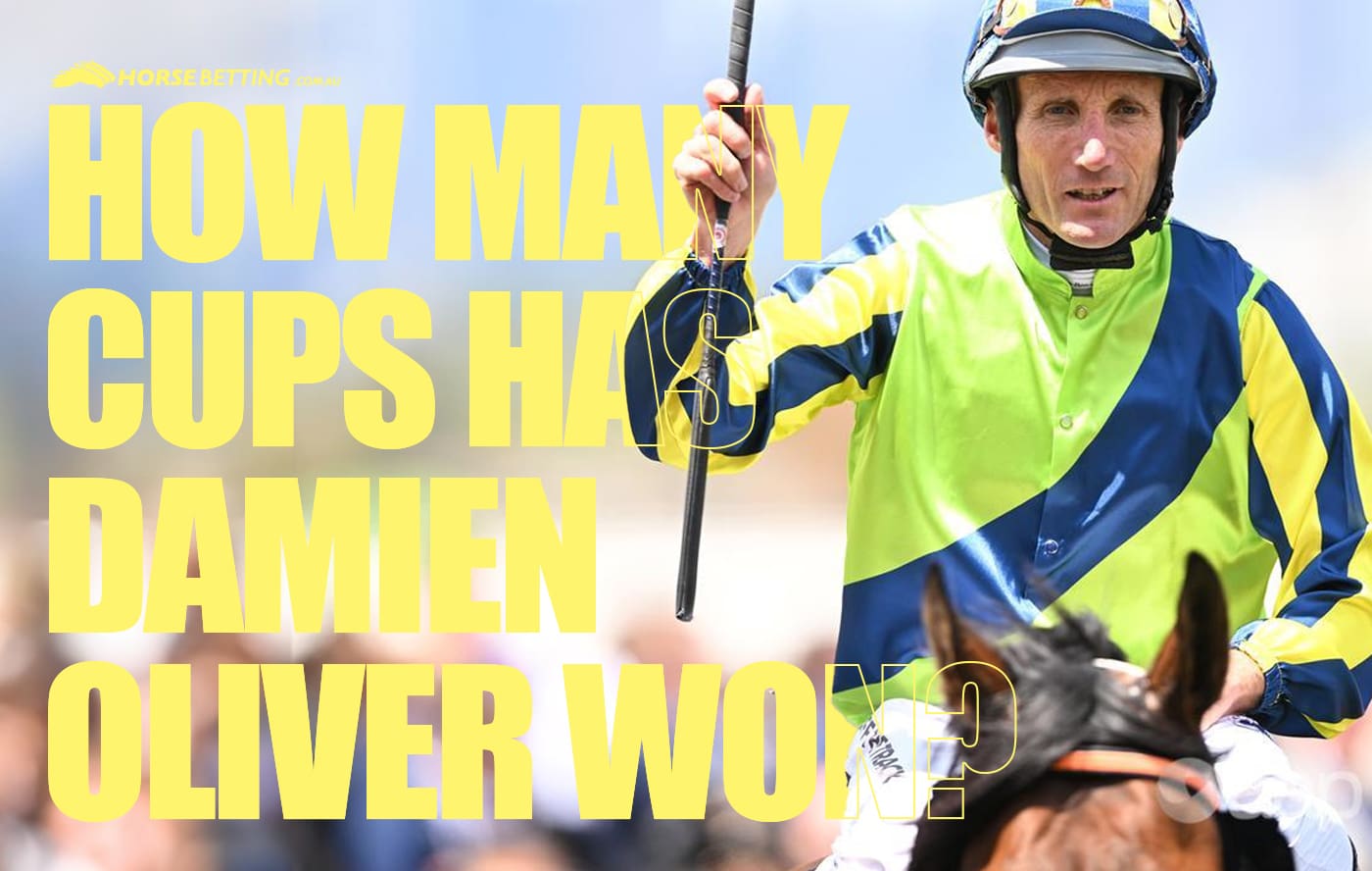 Melbourne Cup jockey Damien Oliver