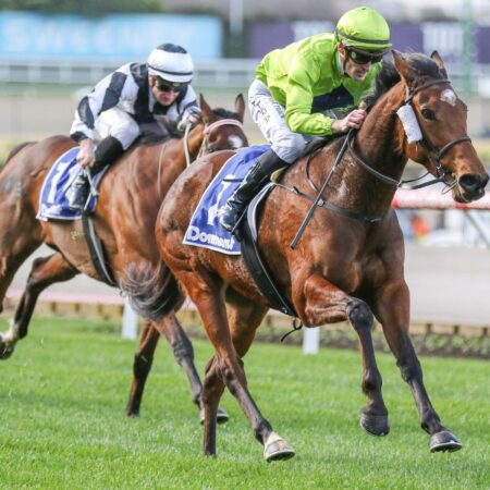 Dashing Duchess out to secure Cup berth in Archer Stakes