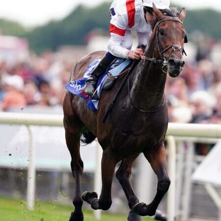 Who are the internationals in the 2024 Melbourne Cup?