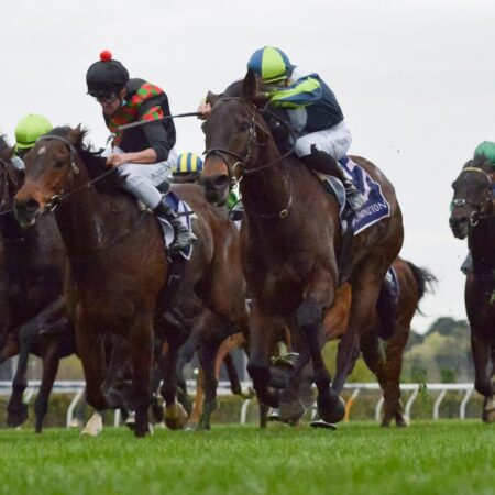Melbourne Cup aspirations still intact for Defibrillate