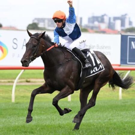 Cummings: Duais’ Caulfield Cup hopes are far from shot