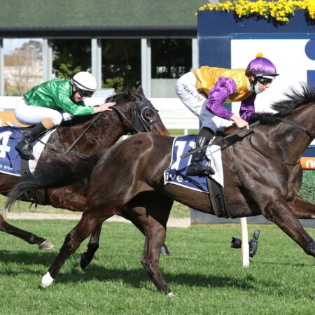 Elephant makes hefty impact at Caulfield