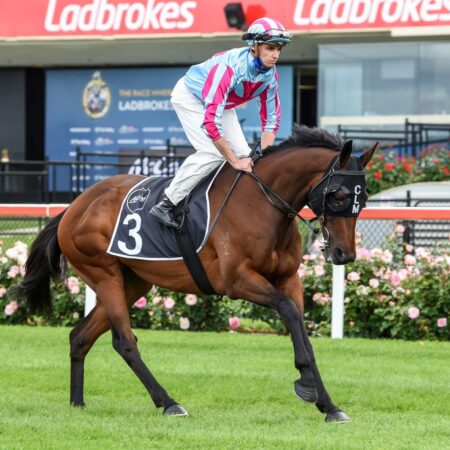 Famous name back at Flemington for shot at Cup glory